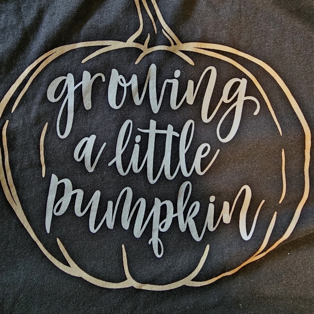 Bloom Maternity - Growing A Little Pumpkin - Maternity Scoop Neck T-Shirt, L - Picture 8 of 11